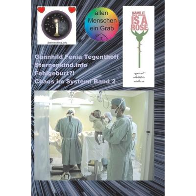 Fehlgeburt? Chaos im System! Band 2, Gebundene Ausgabe von Gunnhild Fenia Tegenthoff Sternenkind.info, Buchschmiede, 978-3-99070-098-3