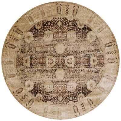 Alexander Home Contessa Traditional Floral Distressed Border Rug