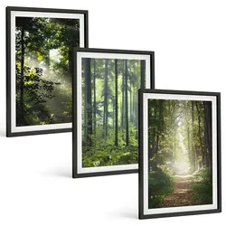 BILDER SET 3er Set - 40x60 cm Schwarzer Rahmen - Grüne Wälder mit Lichtstrahlen