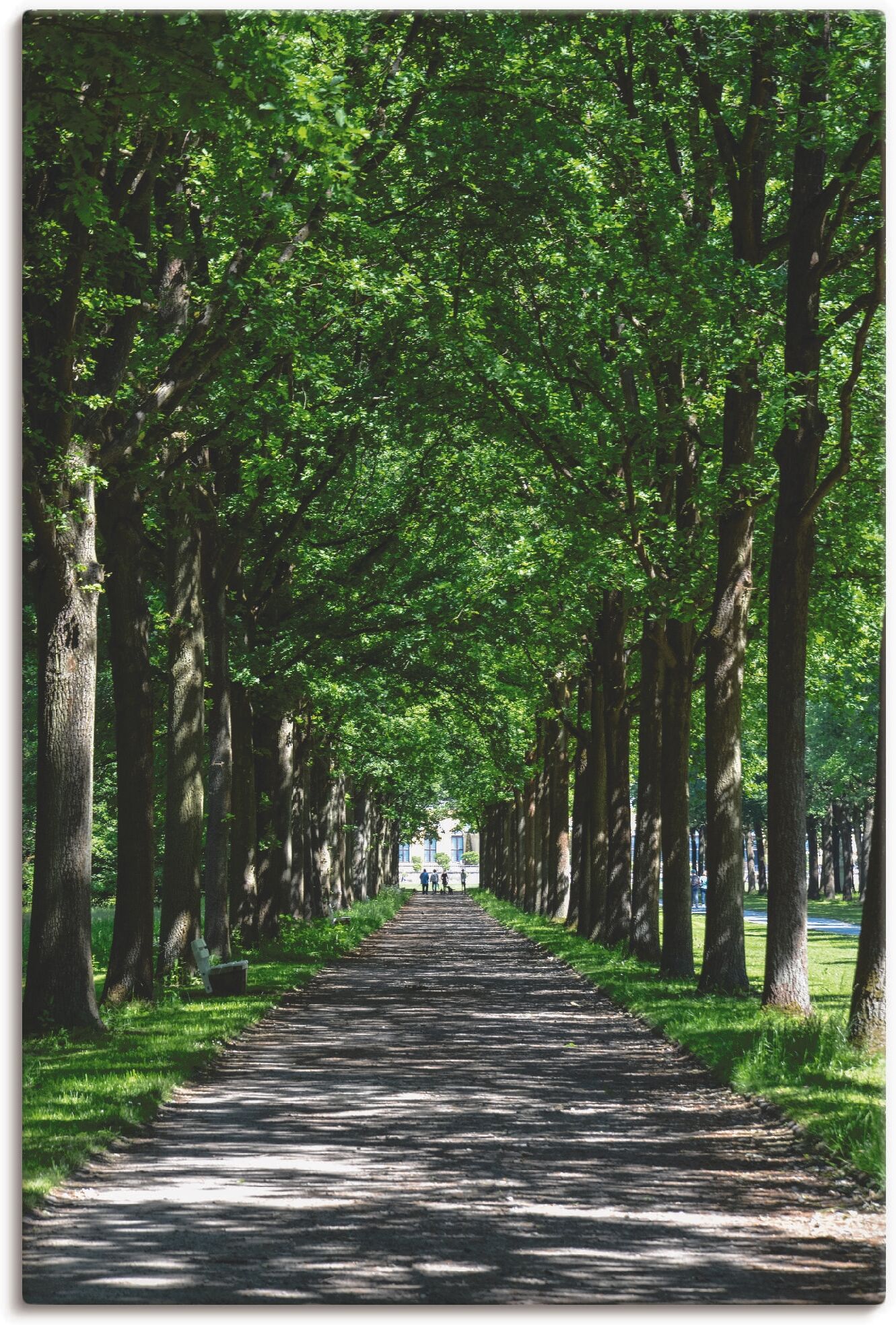 Leinwandbild ARTLAND "Allee in der Karlsaue in Kassel", grün (farbe bild(er): grün), B:40cm H:60cm, Bilder, Leinwandbild, auf Holzrahmen gespannt farbe bild(er): grün B/H/T: 40cm x 60cm, Leinwandbild Bäume Hochformat, 1 Stk.