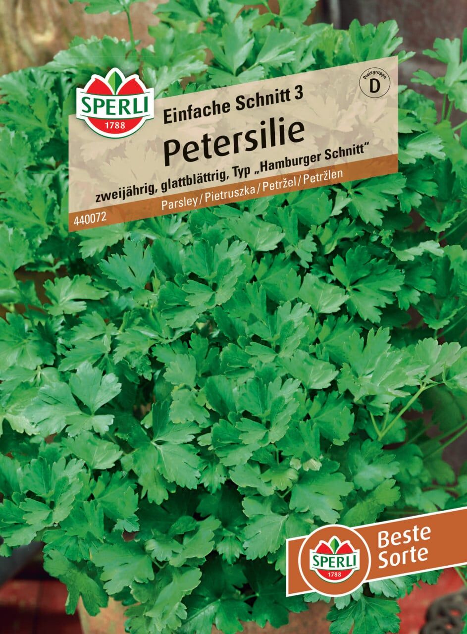 Sperli Petersilie Einfache Schnitt 3