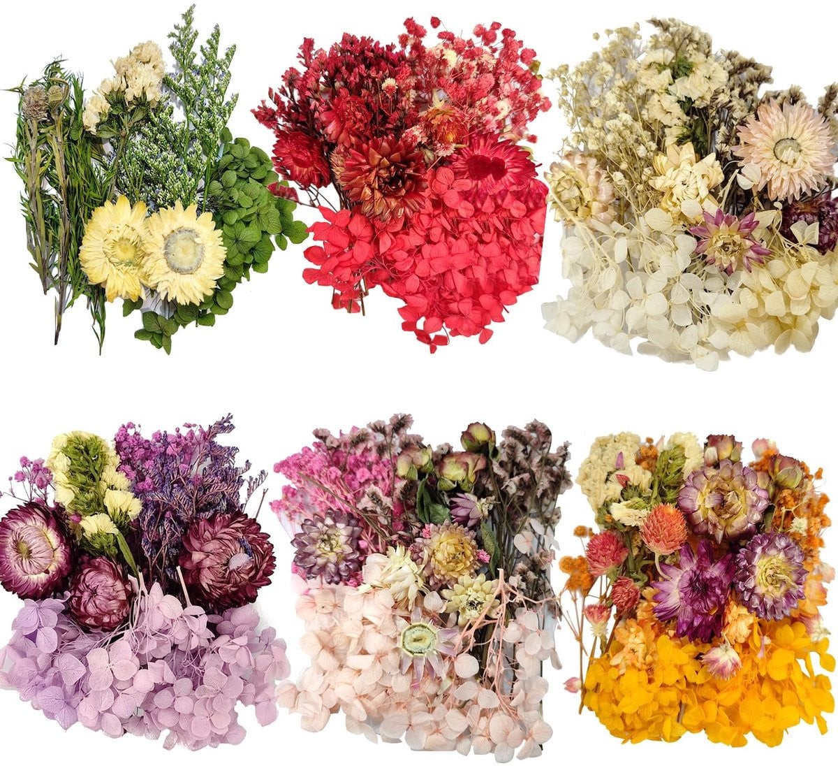 Dailygoods Gedroogde Bloemen 6 Zakjes voor Knutselprojecten en Decoratie