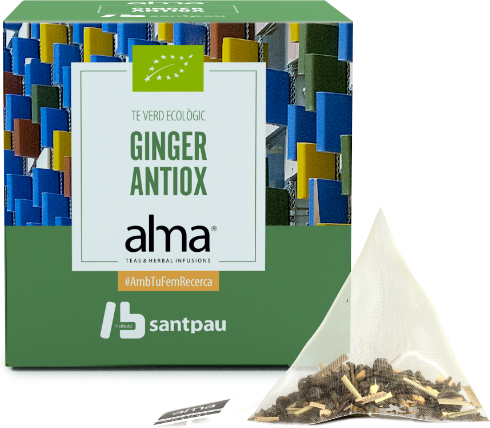 Alma Home Green Tea Ginger 15 Bags 30 gr