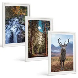 BILDER SET 3er Set - 40x60 cm Weißer Rahmen - Wasserfall Wald Berge Hirsch Natur