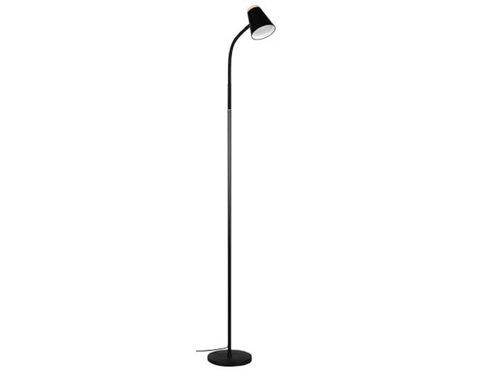 RL LIVE YOUR LIGHT LED vloerlamp - H 145 cm - 1 lamp - bruin - zwart - kunststof