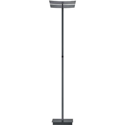 LED Stehlampe "ANDY", grau (anthrazit matt eloxiert), 2, H: 185cm, 1 Stk., ohne Lesearm, HELL HÖLLISCH GUTES LICHT, Leuchten, Tastdimmer, CCT, LED Stehlampe