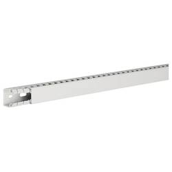 Hager HA725025 Verdrahtungskanal (L x B x H) 2 m x 25 mm x 25 mm 2 m Grau