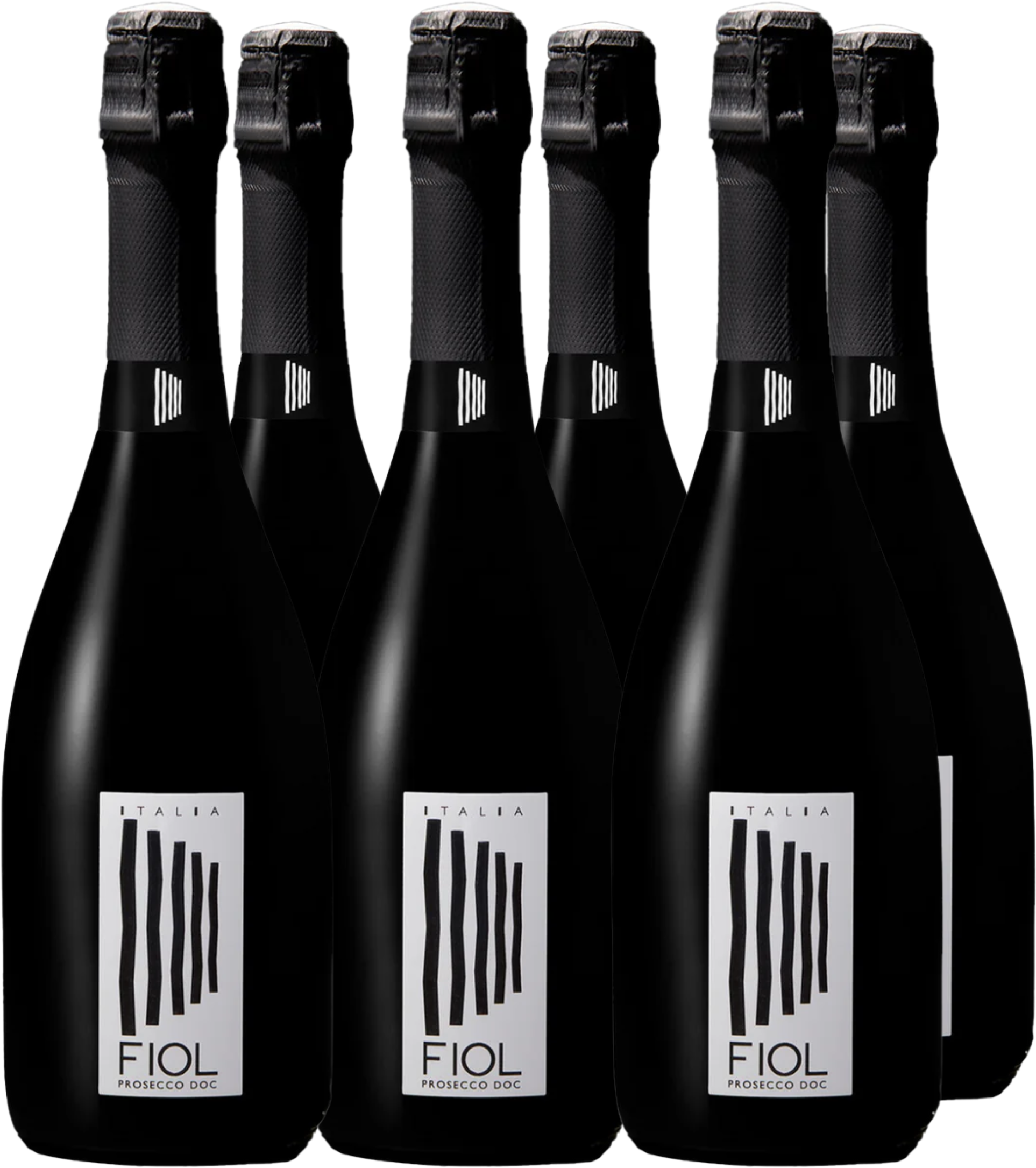 Fiol Wine Box Prosecco Extra Dry (12bt)