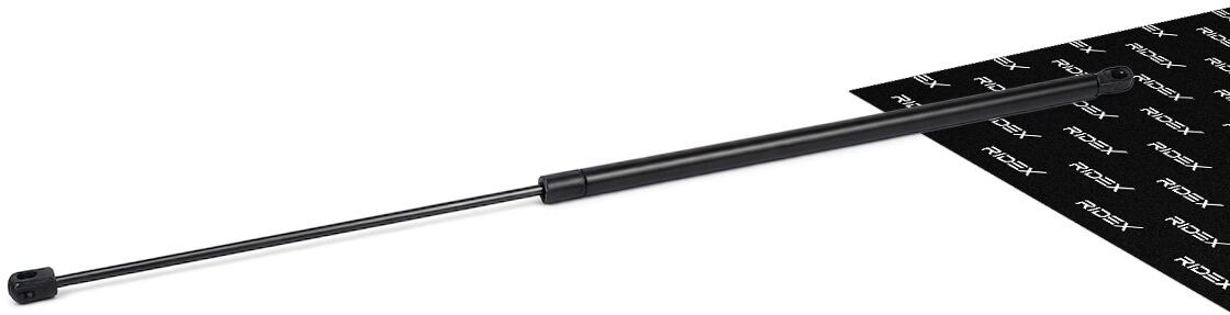 RIDEX 219G0104 Tailgate strut
