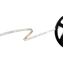Barthelme, LED Streifen, LED-Streifen Basic 60 (Kaltweiss, 500 cm, Indoor)