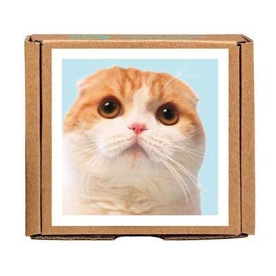 Waffles the Cat GreenGift-Notes