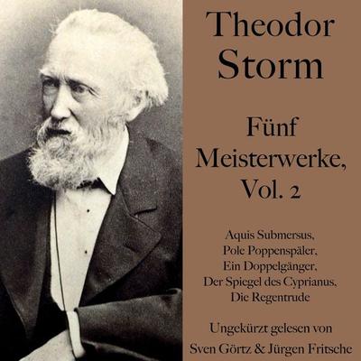 Theodor Storm: Fünf Meisterwerke, Vol. 2 - Theodor Storm, Audio, 9783754502228