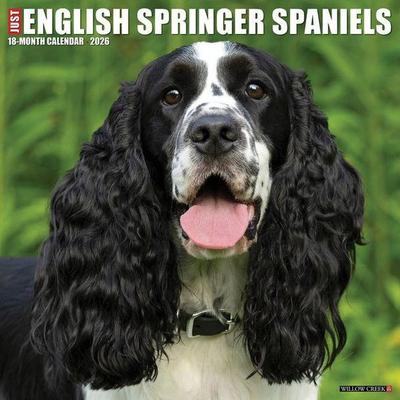 English Springer Spaniels 2026 Wall Calendar