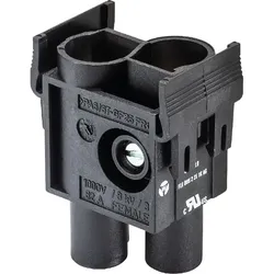 Wieland Hochstrombuchsen-Modul 78.106.0253.0