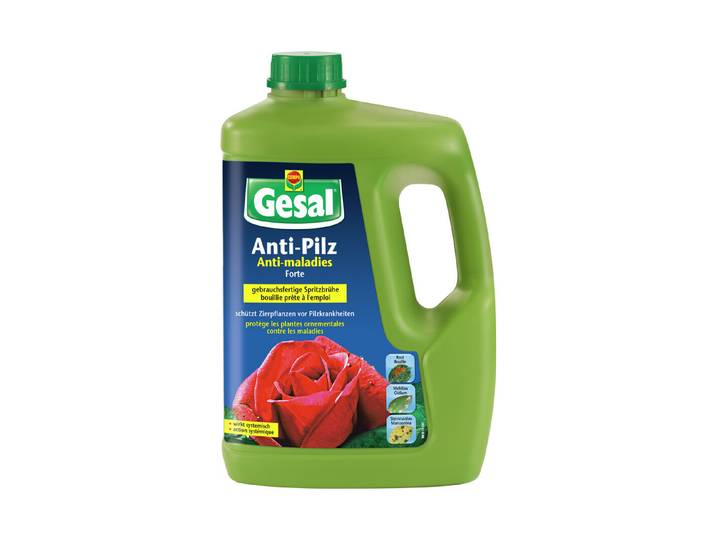 Gesal Anti-Pilz Forte 2.5L