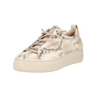 Sneaker PAUL GREEN "Paul Green Sneaker Leder", Damen, Gr. 39, beige, Leder, Schuhe Sneaker