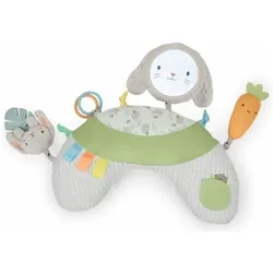 Ingenuity, Spielteppich + Spielmatte, Spielmatte Stoff Foam (183 x 122 cm)
