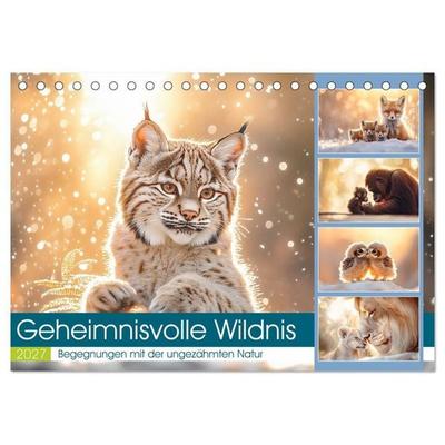 Geheimnisvolle Wildnis (Tischkalender 2027 DIN A5 quer), CALVENDO Monatskalender