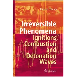 Irreversible Phenomena, Fachbücher von Kunio Terao