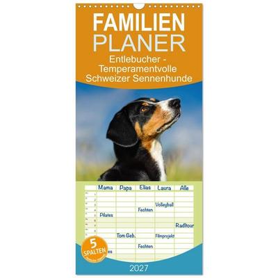 Familienplaner 2027 - Entlebucher - Temperamentvolle Schweizer Sennenhunde mit 5 Spalten (Wandkalender, 21 x 45 cm) CALVENDO