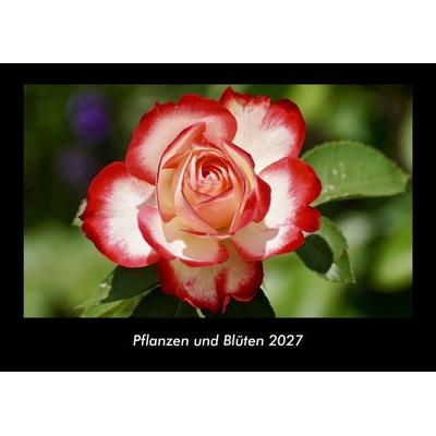 Pflanzen und Blüten 2027 Fotokalender DIN A3