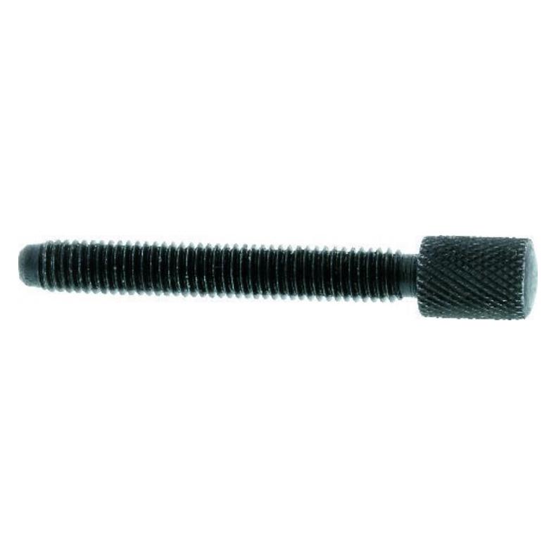 SRW Höhenverstellschraube M9x77 C (81034486)