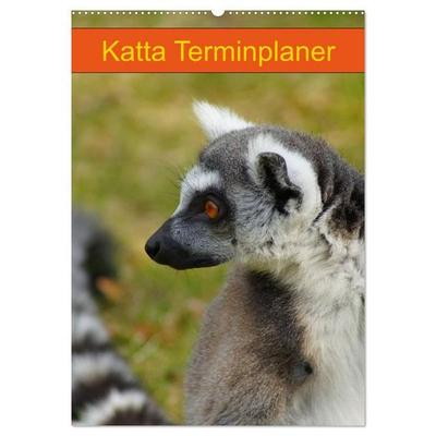 Katta Terminplaner (Wandkalender 2027 DIN A2 hoch), CALVENDO Monatskalender