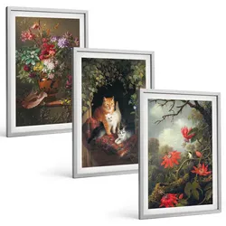 BILDER SET 3er Set - 40x60 cm Silberner Rahmen - Vintage-Blumen, Katzen, Natur