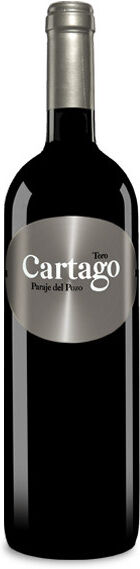 Maurodos Bodegas y Viñedos San Román Cartago Paraje del Pozo 2021 - 75cl