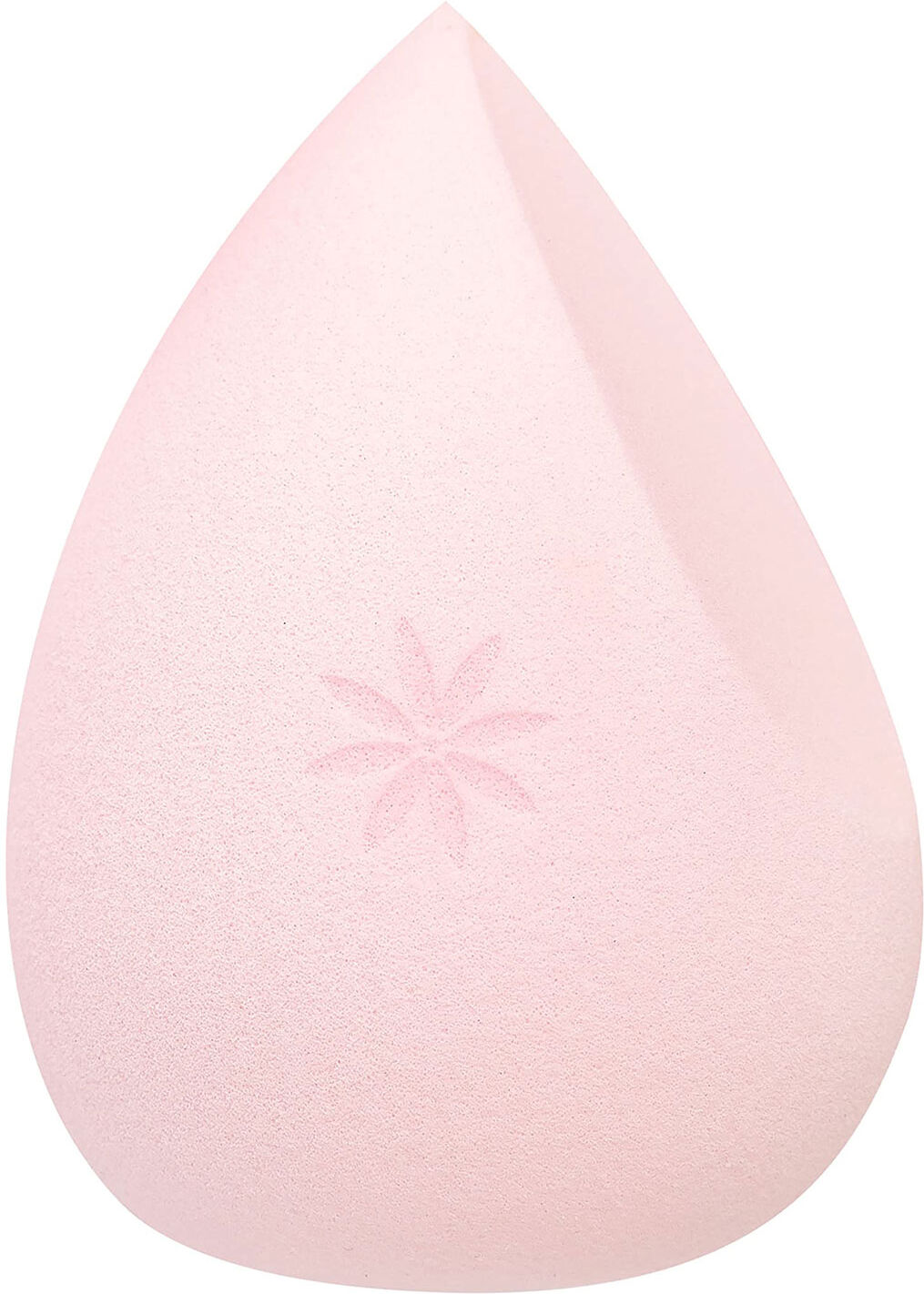 BRUSHWORKS Multi Tasking Sponge