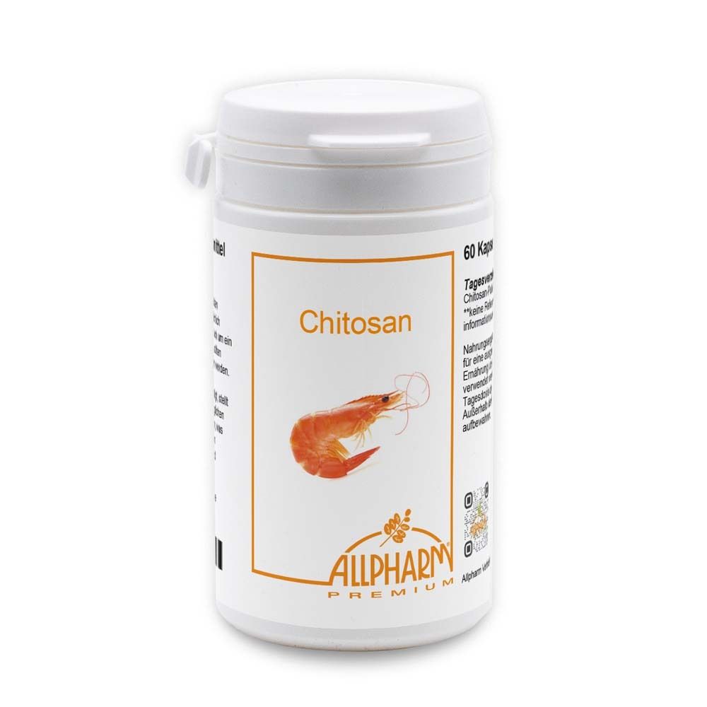 Chitosan 500 mg Kapseln 60 St