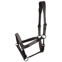 Harrys Horse Leder Halfter Flash black, Größe: Cob