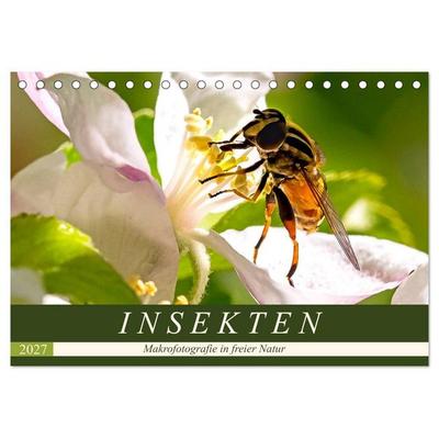 INSEKTEN - Makrofotografie in freier Natur (Tischkalender 2027 DIN A5 quer), CALVENDO Monatskalender