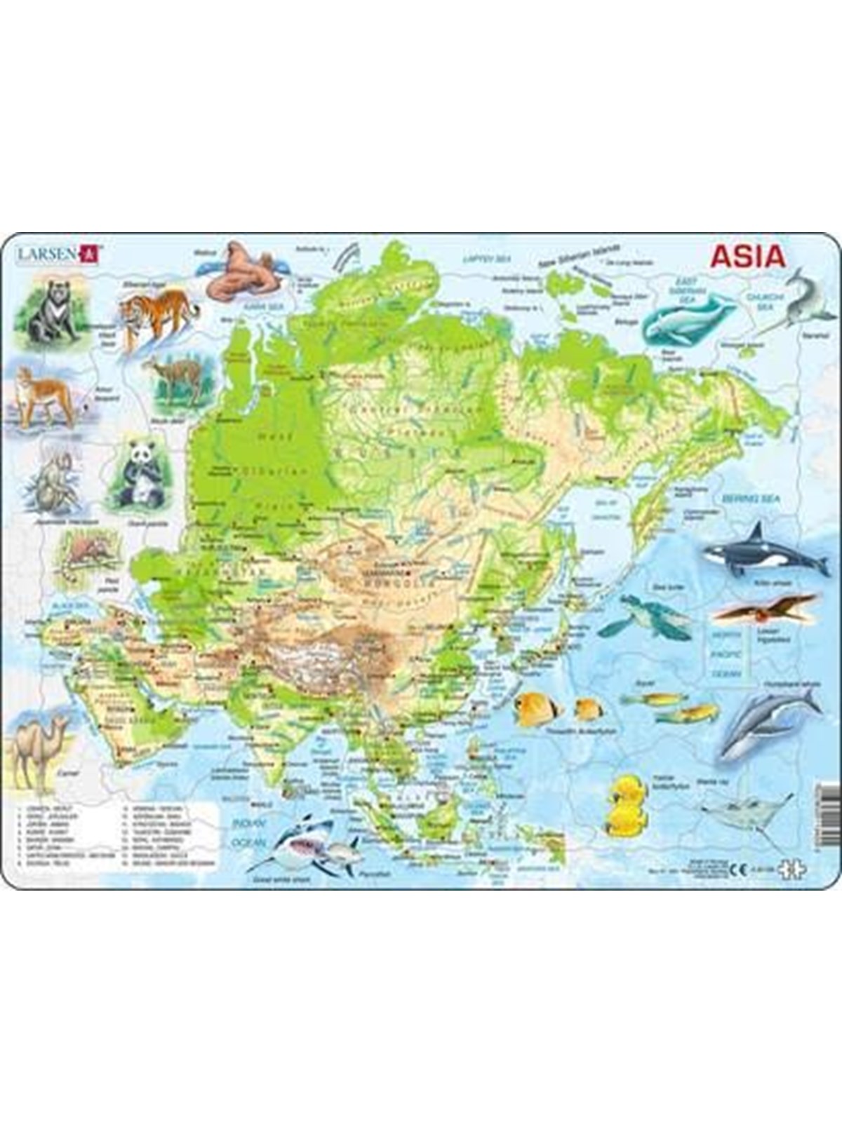 Larsen Puzzles Puzzle Asien topografische Karte - 63-teilig, Max 2D Puzzles