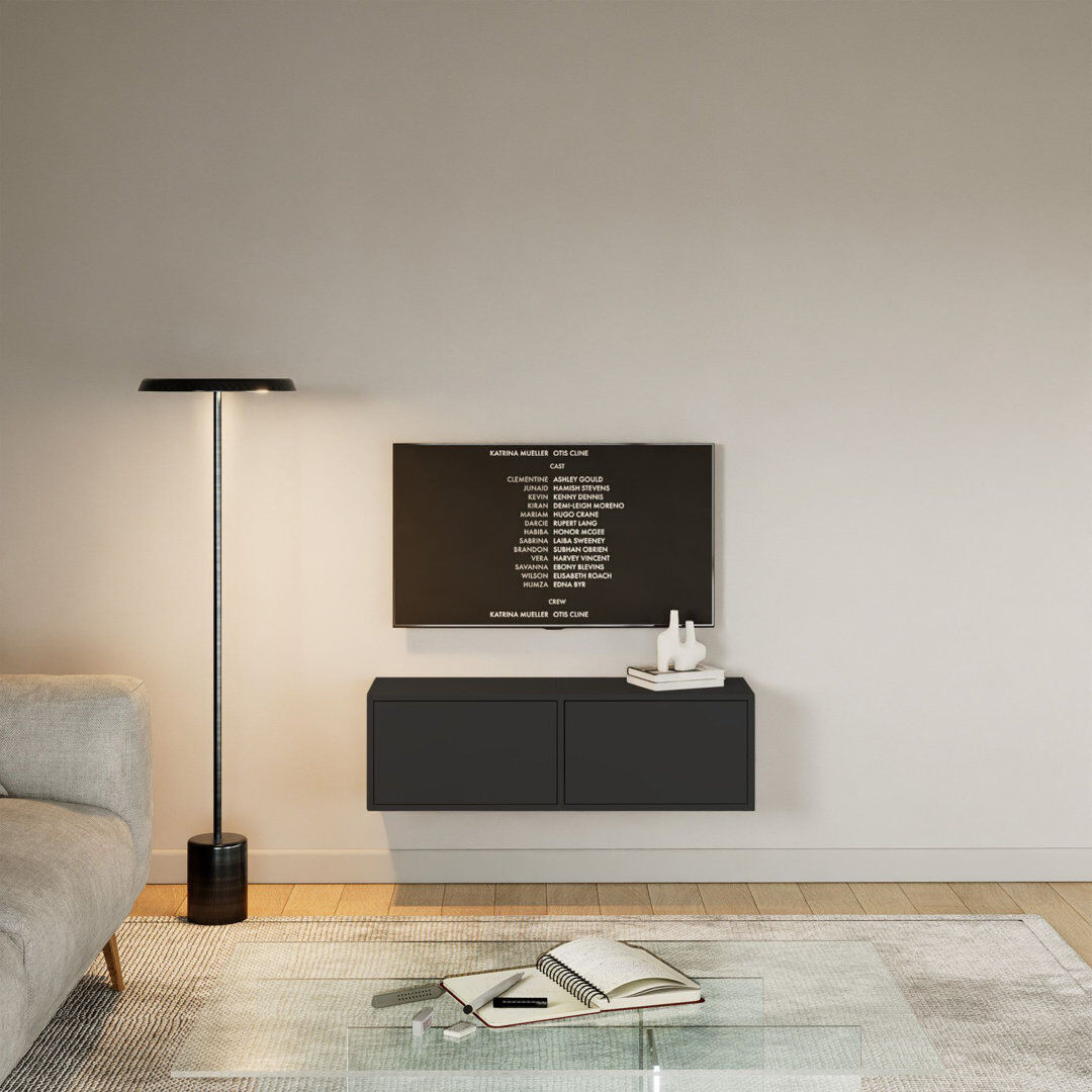 17 Stories Takiea TV Stand for TVs up to 48" Black 48"