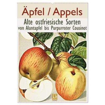 Äpfel/Appels. Alte ostfriesische Sorten (Wandkalender 2026 DIN A2 hoch), CALVENDO Monatskalender