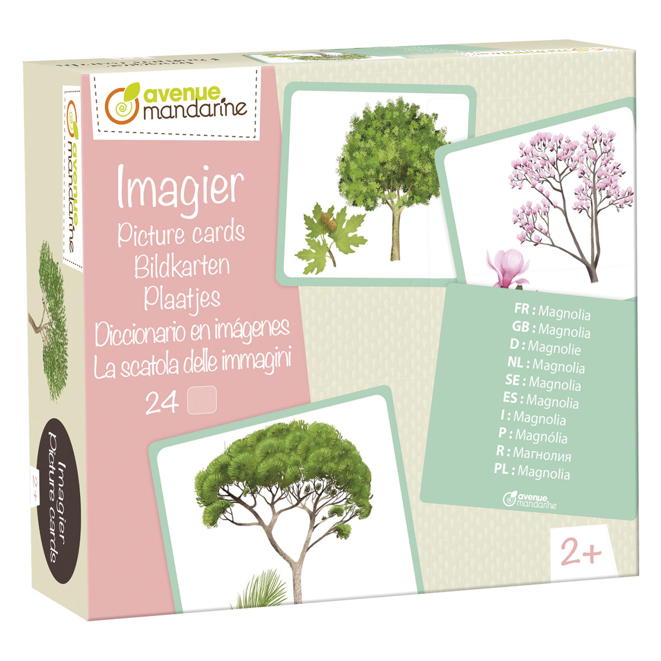 My Mandarine Kreativboxen (Deutsch, Englisch, Französisch) (JE525C)