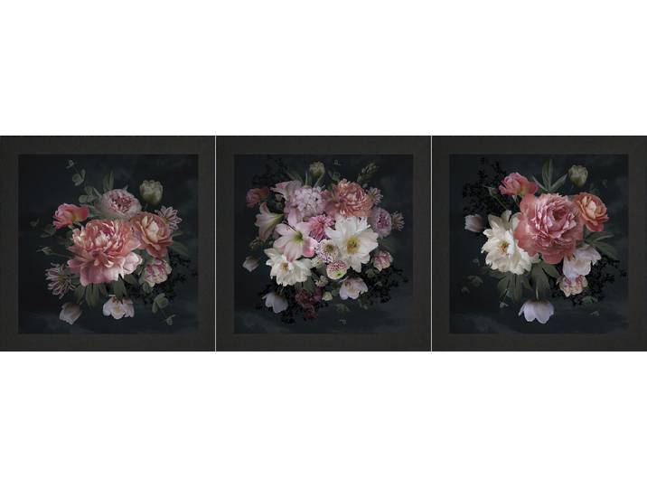 Bild mit Rahmen BÖNNINGHOFF 3er-Set gerahmte Bilder BLUMEN 3x23x23 cm – Deko modern , bunt (farbe rahmen: holz, farbe bild(er): schwarz, pink, weiß), B:23cm H:23cm T:2,1cm, MDF, Papier, Bilder, Bild mit Rahmen, mehrteiliges Bilder-Set, harmonisch aufeinander abgestimmt