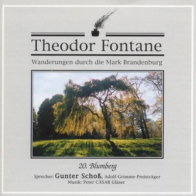 Wanderungen durch die Mark Brandenburg (20) - Theodor Fontane, Audio, 4056198031971