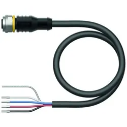 Turck RFID-Leitung RK4.5T-2/S2503