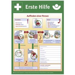 SafetyMarking 43.2914 Aushang Anleitung zur Ersten Hilfe bei Unfällen Kunststoff (B x H) 400 mm x 560 mm 1 St.