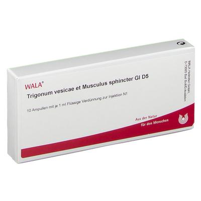 Trigonum vesicae et Musculus sphincter GL D 5 Amp. 10x1 ml Ampullen