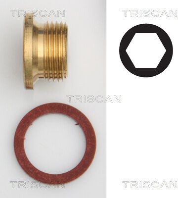 Triscan Verschlussschraube, Ölwanne 9500 1005 Für Peugeot