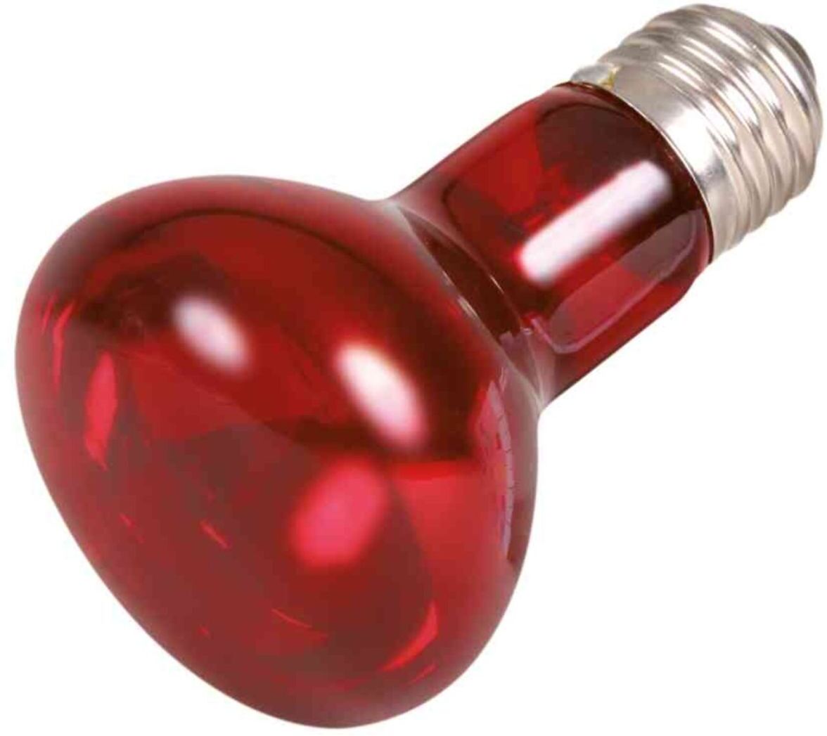 TRIXIE Infrarot Wärme-Spot-Lampe,