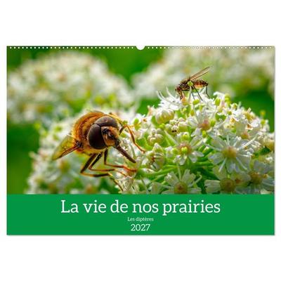 La vie de nos prairies - Les diptères (Calendrier mural 2027 DIN A2 vertical), CALVENDO calendrier mensuel