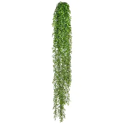 CREATIV green künstliche Pflanze Ruscushänger, ca 160cm