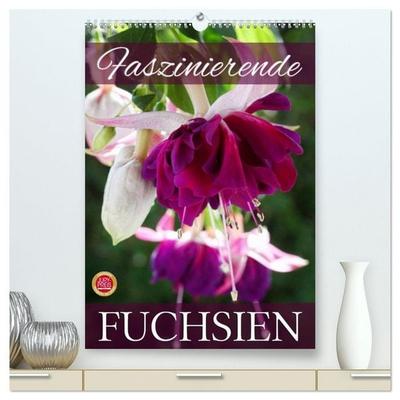 Faszinierende Fuchsien (hochwertiger Premium Wandkalender 2026 DIN A2 hoch), Kunstdruck in Hochglanz