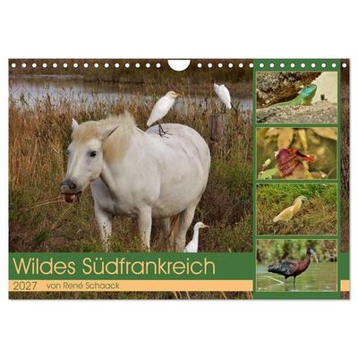 Wildes Südfrankreich (Wandkalender 2027 DIN A4 quer), CALVENDO Monatskalender