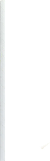 Firstpack Set da 3000 pezzi Cannuccia bianca 0,6 x 0,6 x 19,7 cm imballata singolarmente