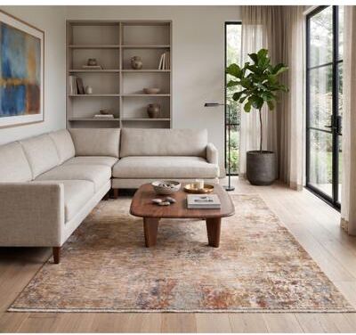 Amer Rugs Albany Vintage Power-Loom Beige Area/Runner Rug